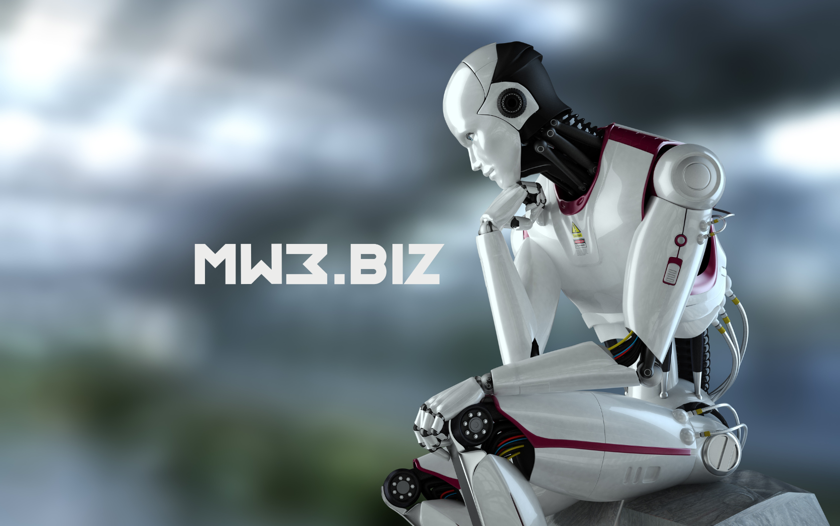 Democratizing the Digital Economy: The MW3.biz Revolution